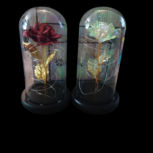 Other - Elegant Glass Dome Roses (Mother's Day Gift Idea)